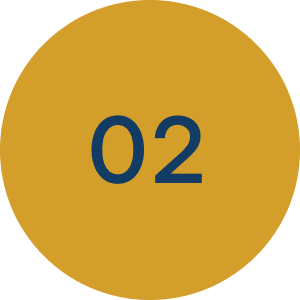 3 Icon 2