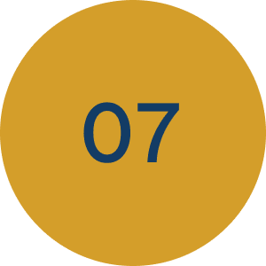 3 Icon 7